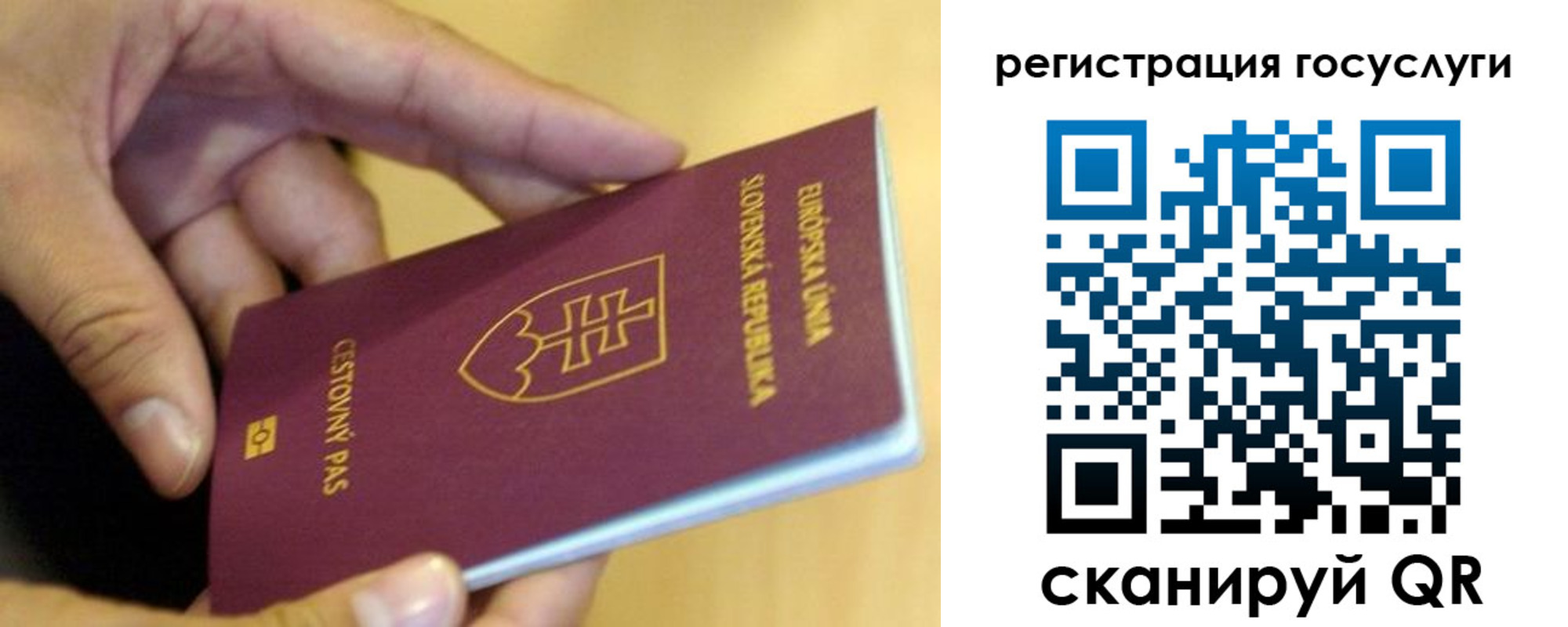 прописка в квартире в Вологде